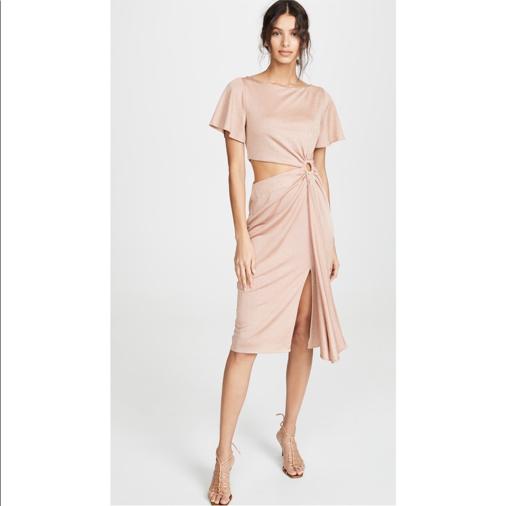 NWT RACHEL ZOE Pauline Dress Blush Pink Metallic